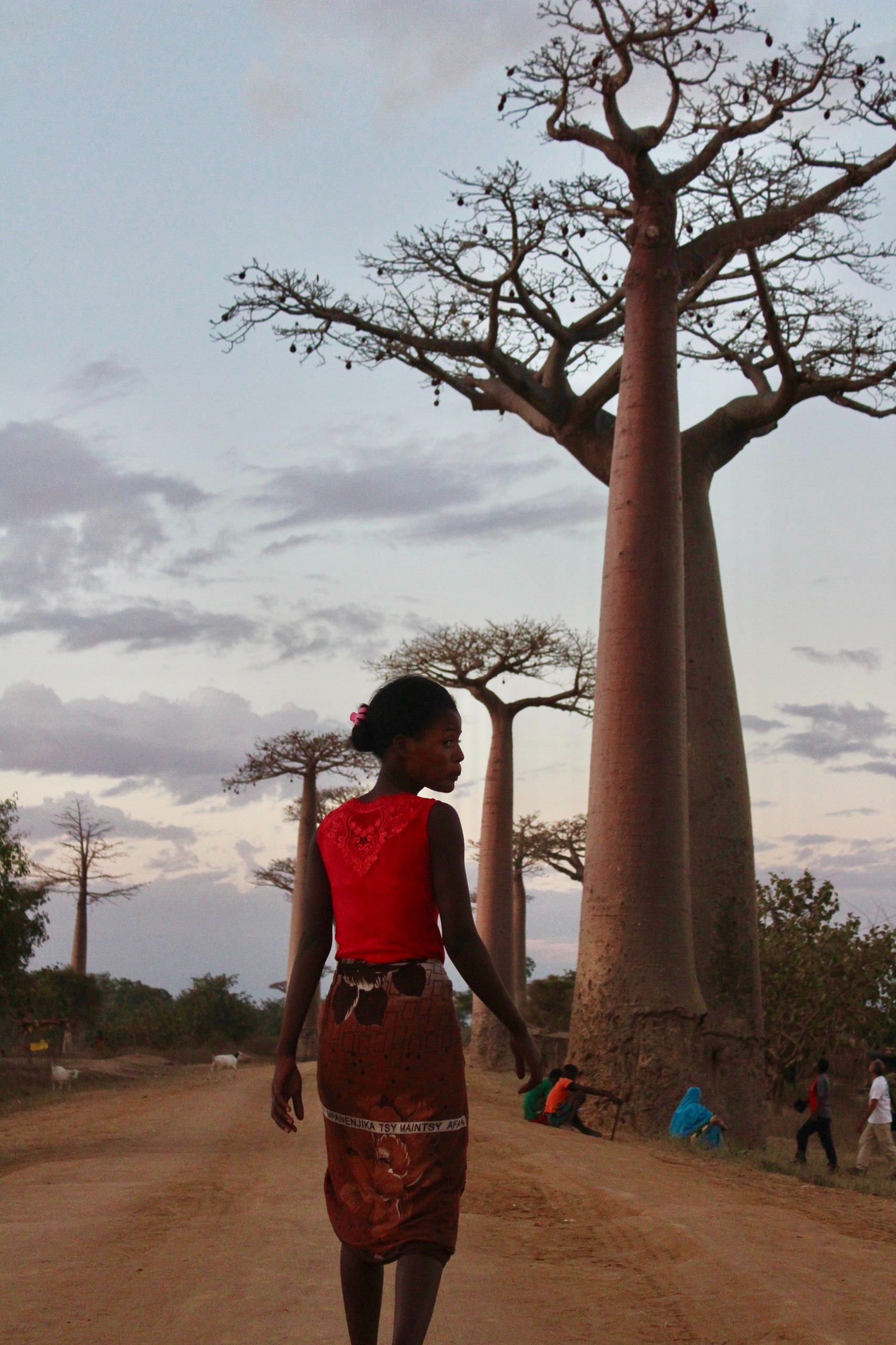 Floviva Baobab Oil