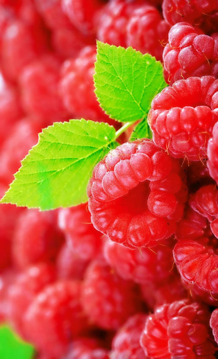 Floviva Raspberry Seed Oil