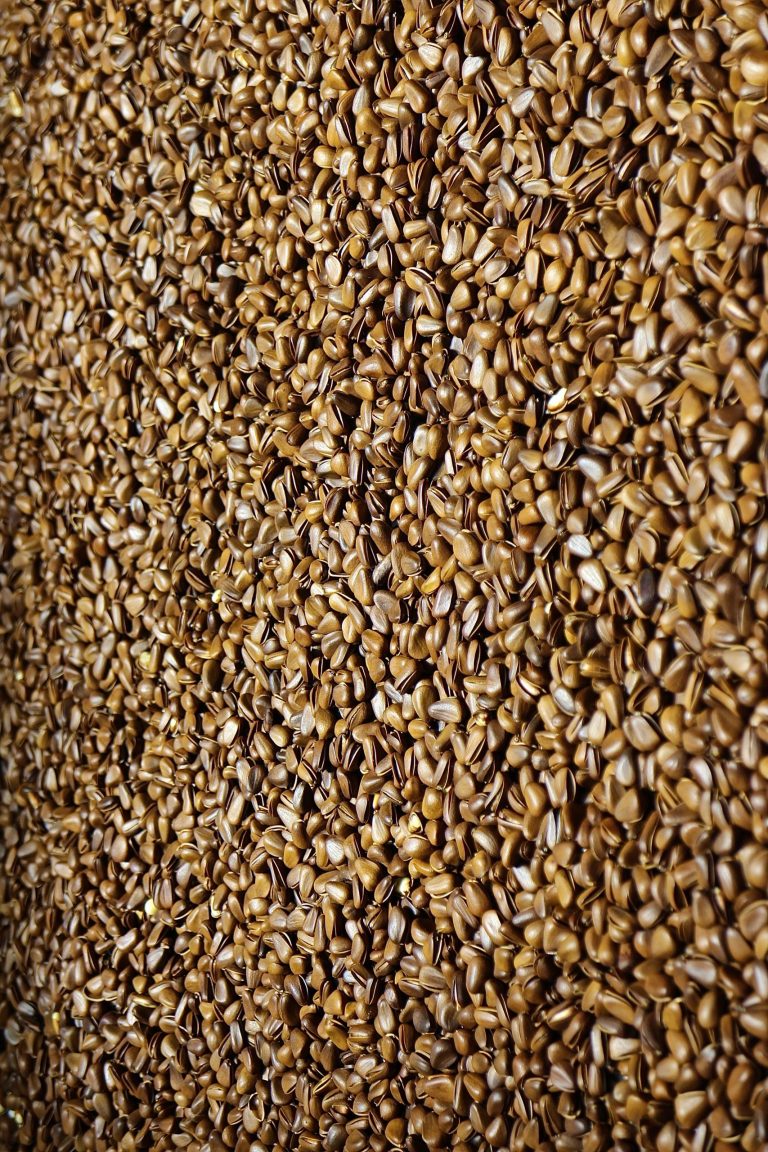 Floviva Flaxseed Oil