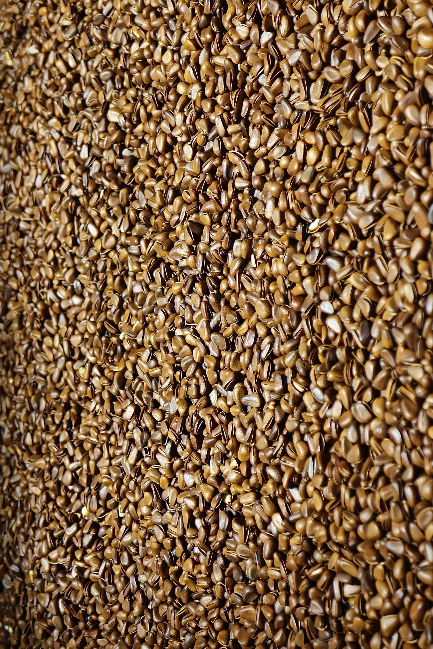 Floviva Flaxseed Oil