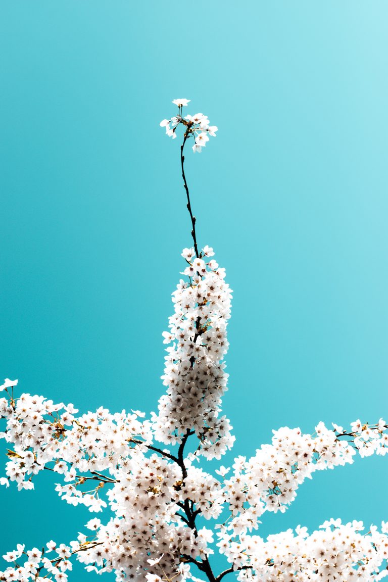 Skin Bright Sake Peel-Off-Gel