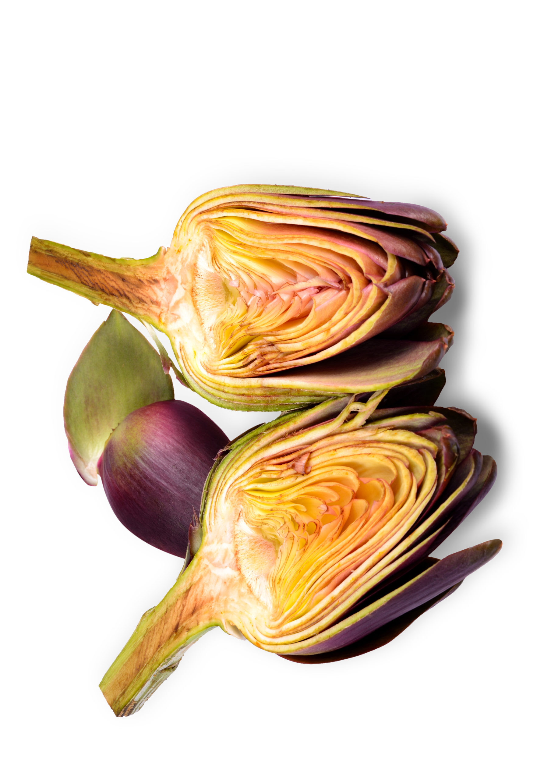 artichokes on white background