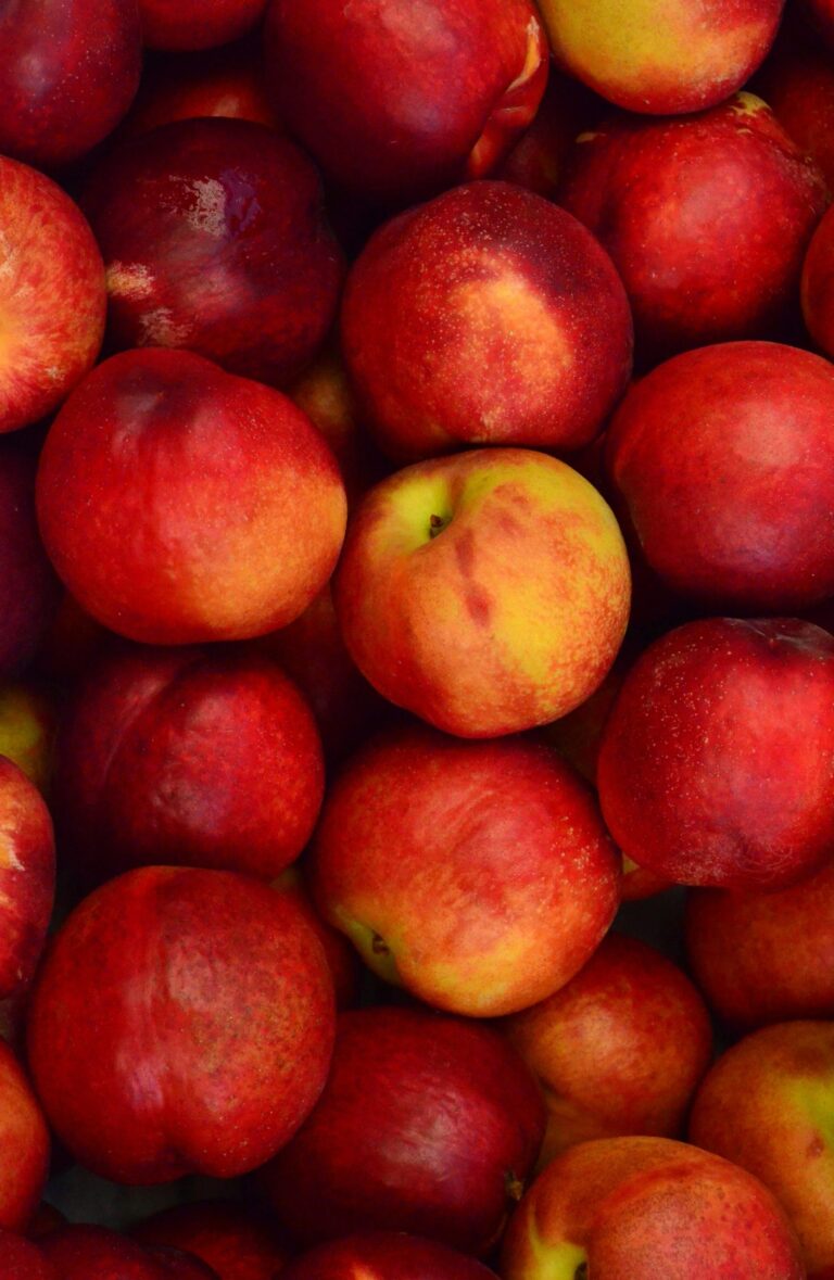 krishnam-moosaddee-jf6EbeBE8UQ-unsplash