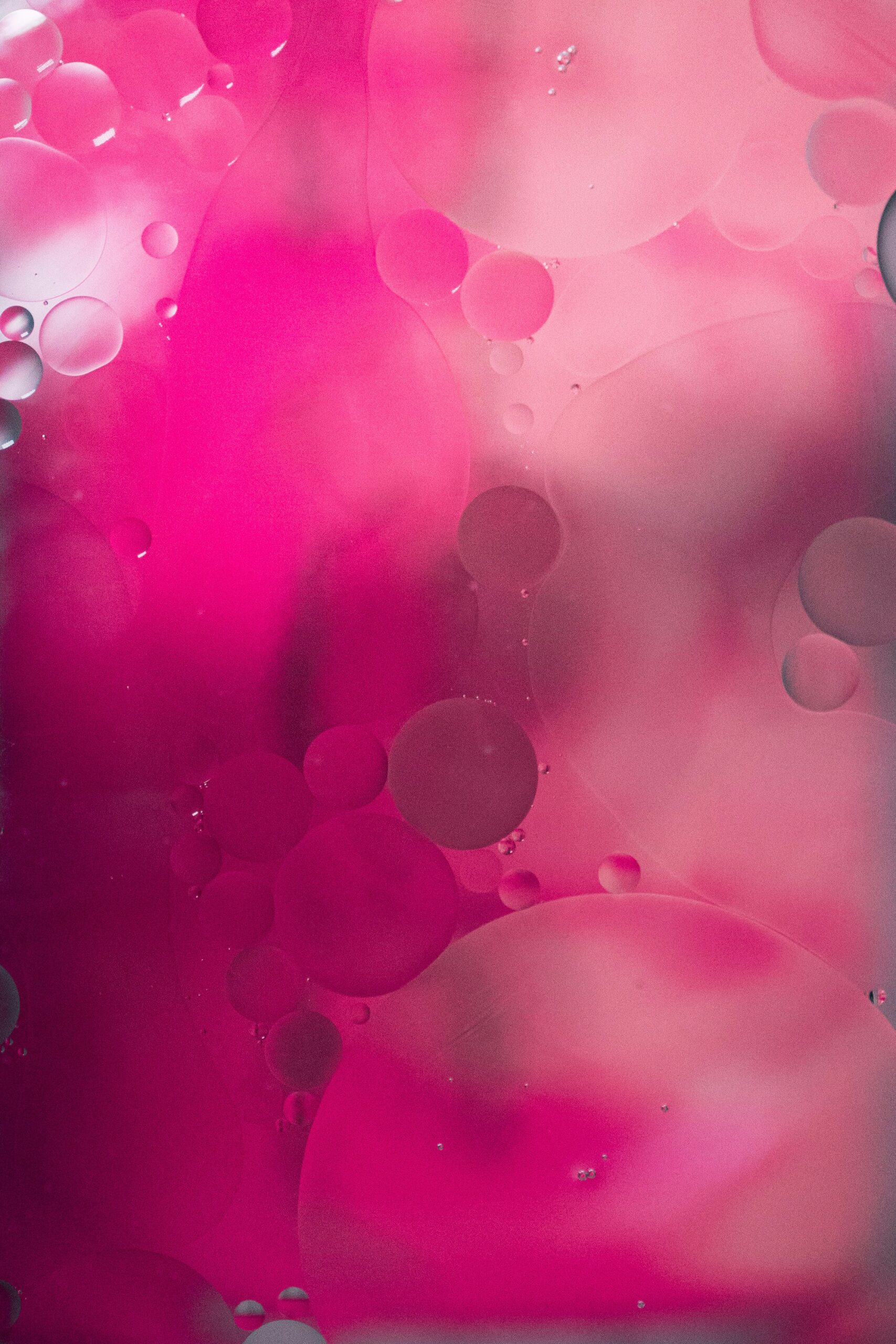 marcel-strauss-c6QVr7l4CFU-unsplash