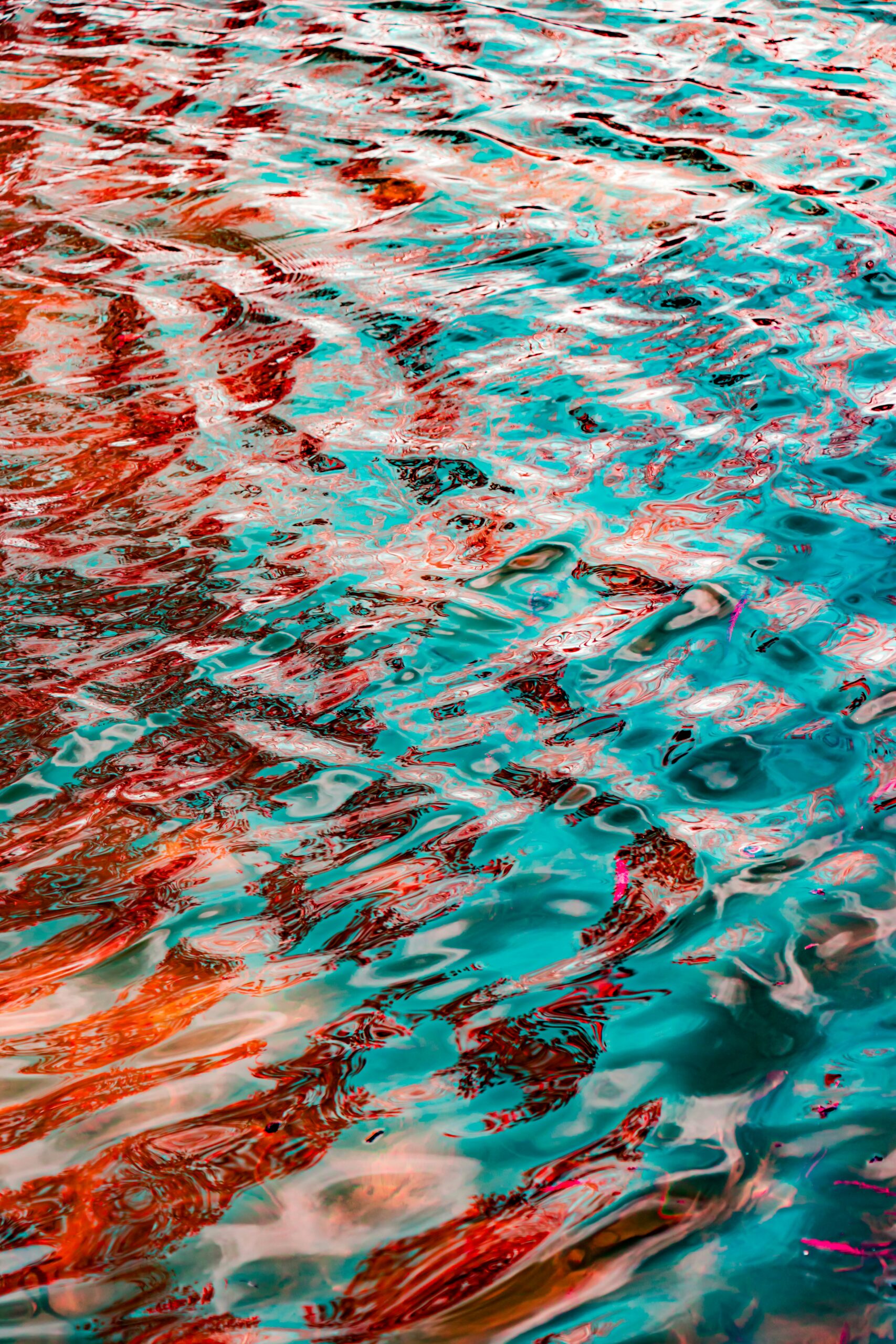 mahdi-soheili-XIBn4U5TvVQ-unsplash