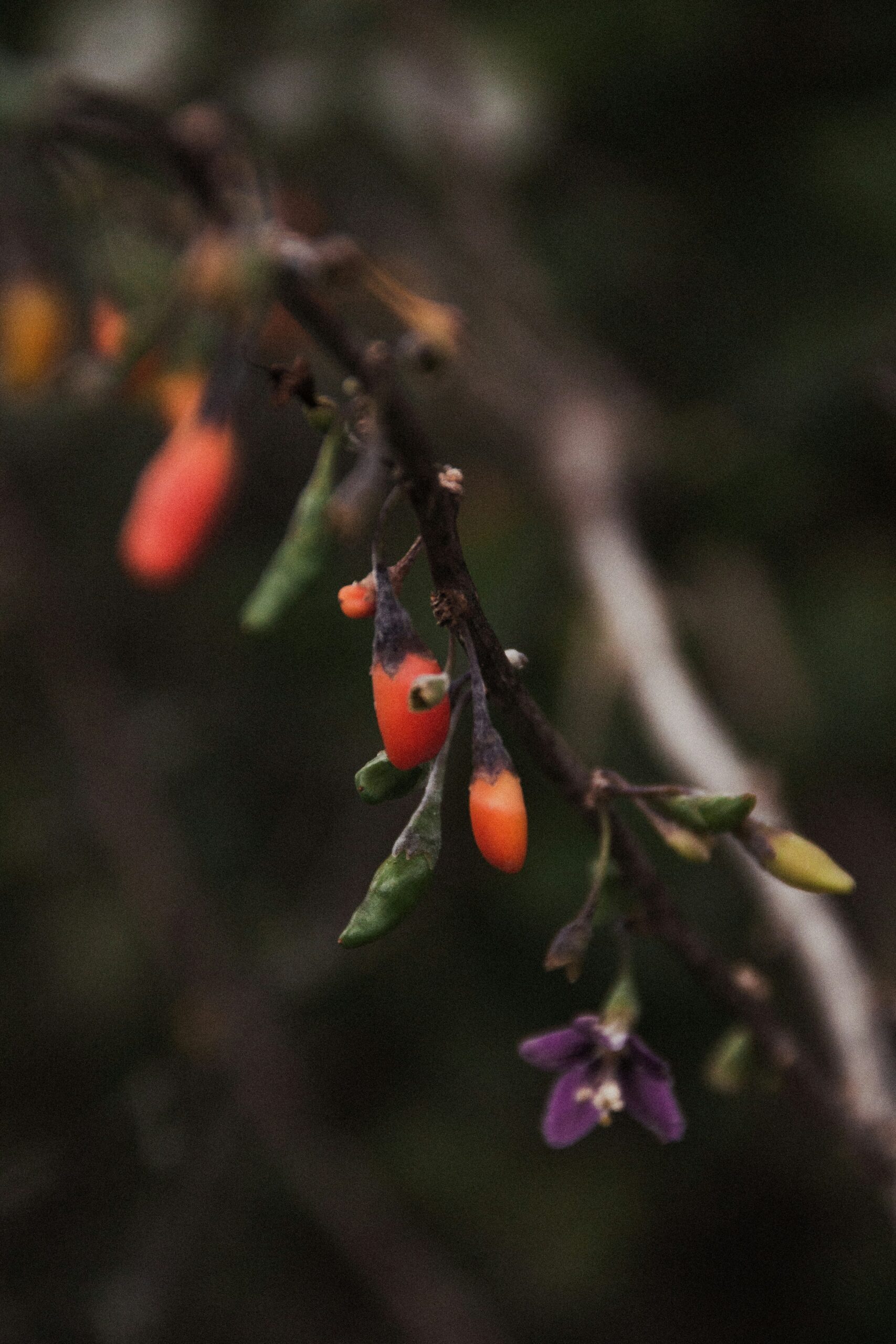 ben-kupke-4rGYZcyv5MQ-unsplash