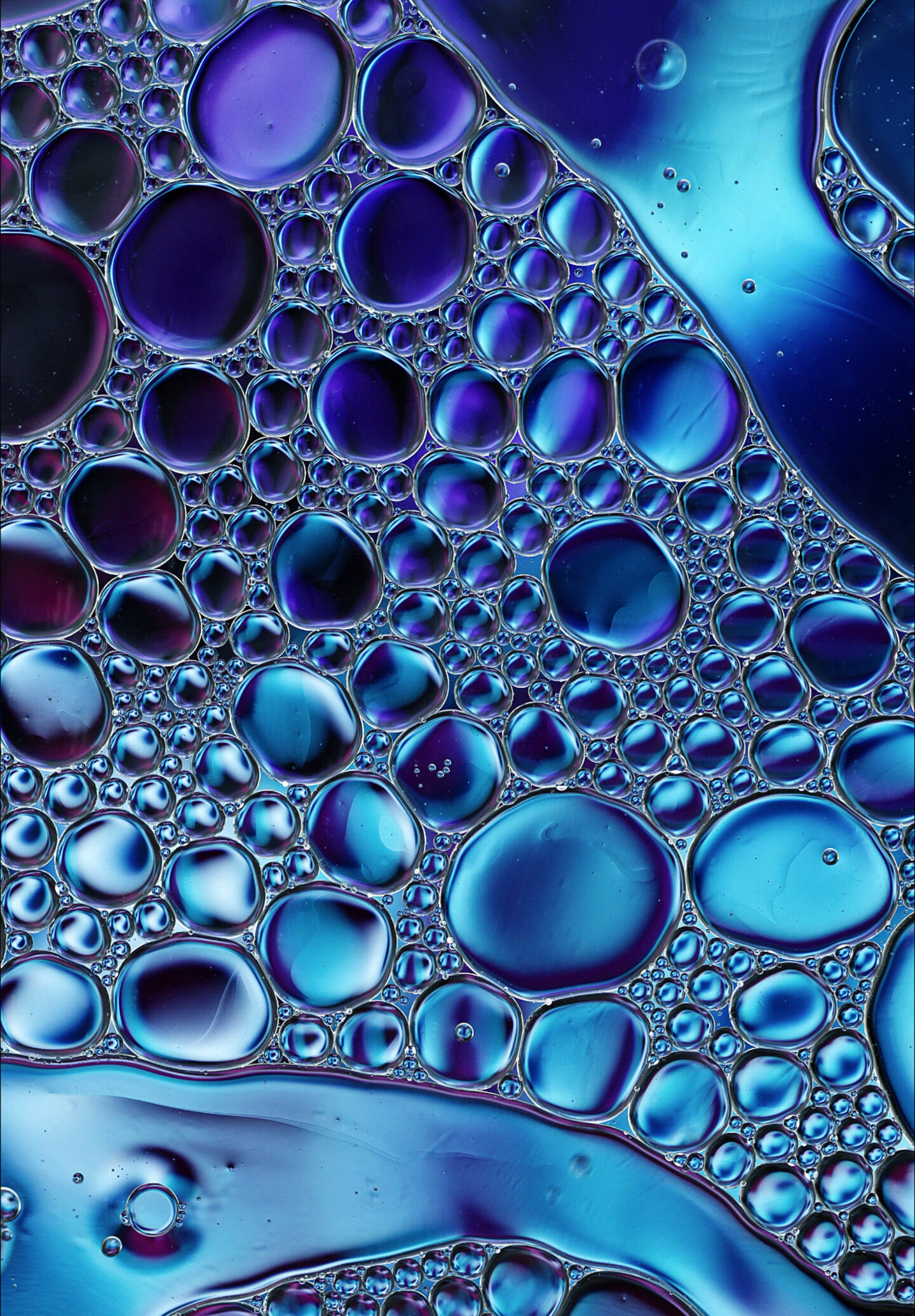 Abstract Colorful Food Oil Drops Bubbles and spheres Flowing on Water Surface